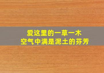 爱这里的一草一木 空气中满是泥土的芬芳